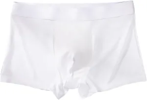 Seamless Ice Silk Boxer Briefs Mens Summer Breathable Comfort Panties Underwear Boyshorts Trunks Underpant Boyshorts