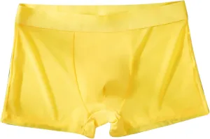 Seamless Ice Silk Boxer Briefs Mens Summer Breathable Comfort Panties Underwear Boyshorts Trunks Underpant Boyshorts